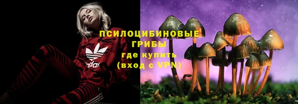 соль ск Балабаново