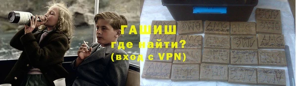 индика Арсеньев