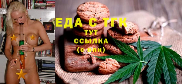 индика Арсеньев
