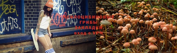 скорость Балахна