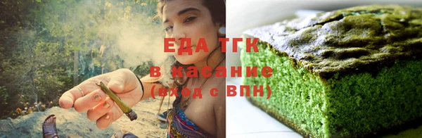 индика Арсеньев