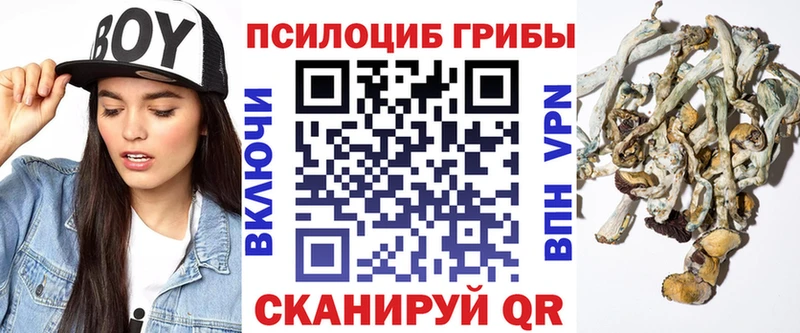 Псилоцибиновые грибы Psilocybine cubensis  Кремёнки 